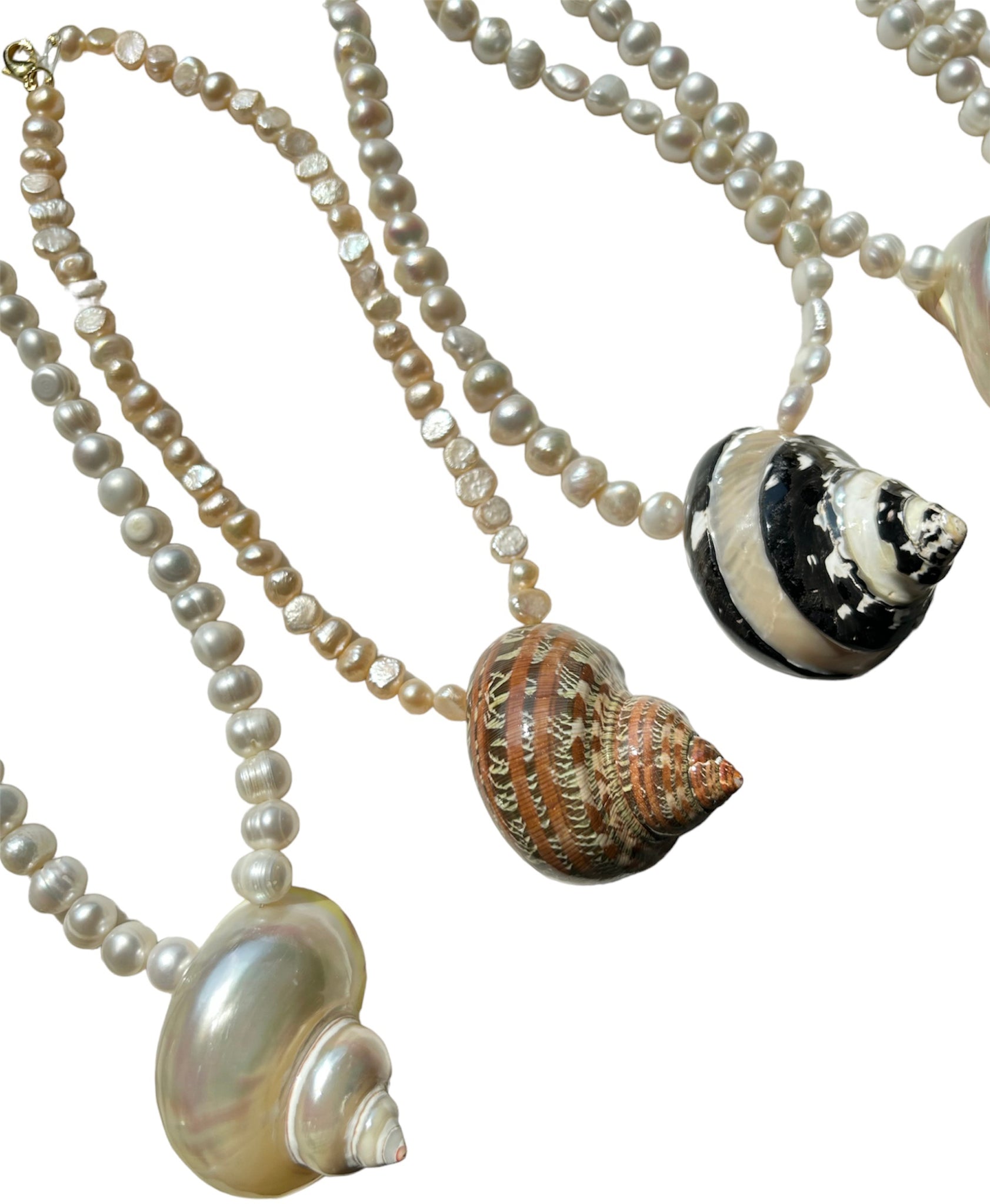 Sea Shell & Pearls